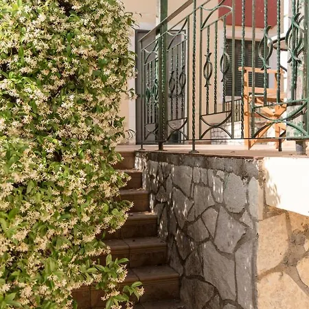 Koni's House Tatil Evi *